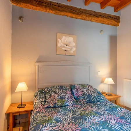 La Bergerie Pres De Lourdes Tatil Evi *